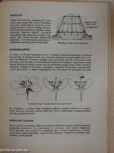 Képes virágábécé