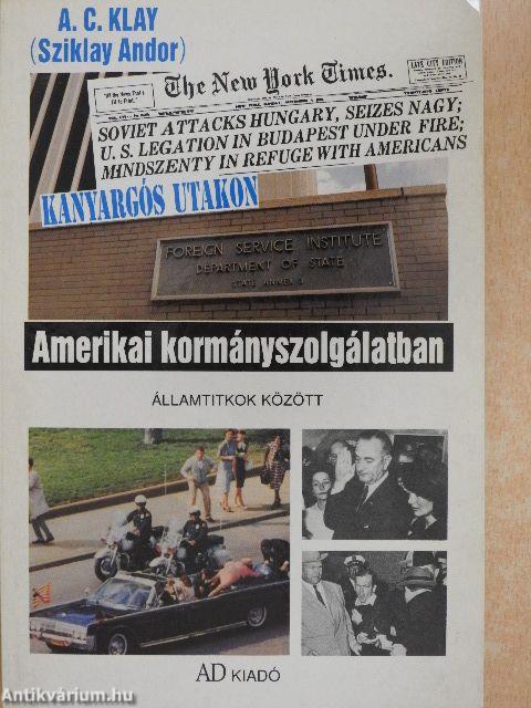 Amerikai kormányszolgálatban