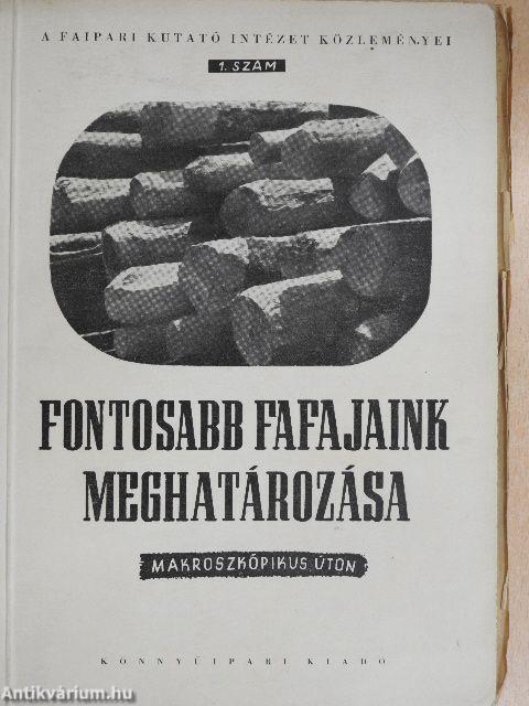 Fontosabb fafajaink meghatározása makroszkópikus úton