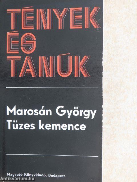Tüzes kemence