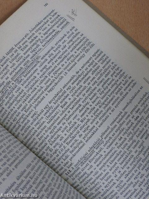 Angol eredetű elemek a magyar szókészletben