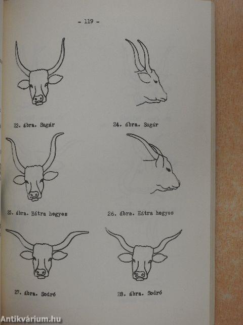 Néprajzi Közlemények XIV. 3-4.