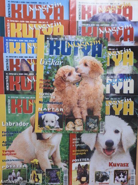 Nemzetközi Kutya Magazin 2002. január-december