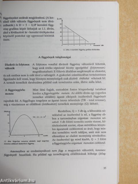 Közgazdaságtan I.