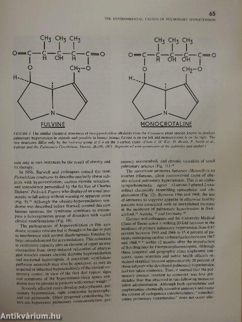 Clinical Essays on the Heart 5