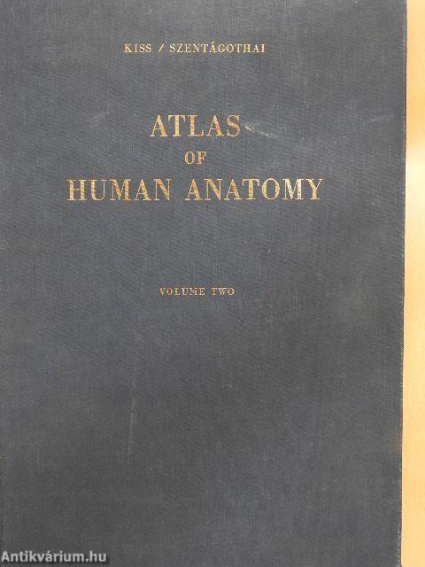 Atlas of Human Anatomy II.