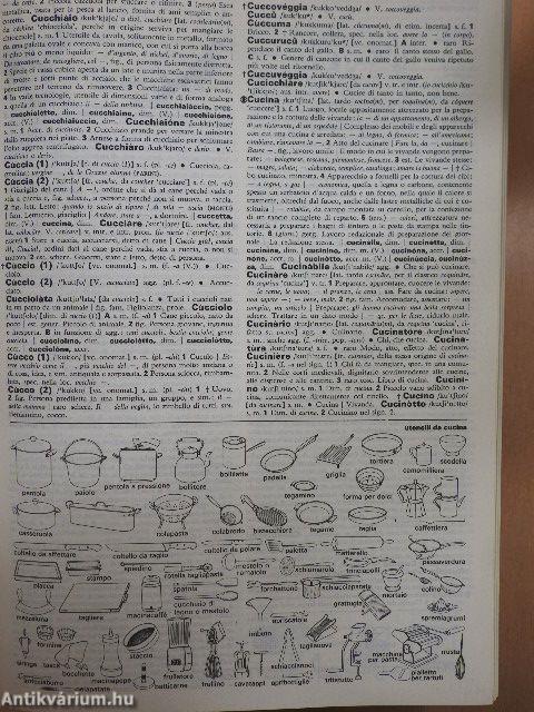 Il nuovo zingarelli