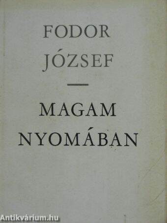 Magam nyomában