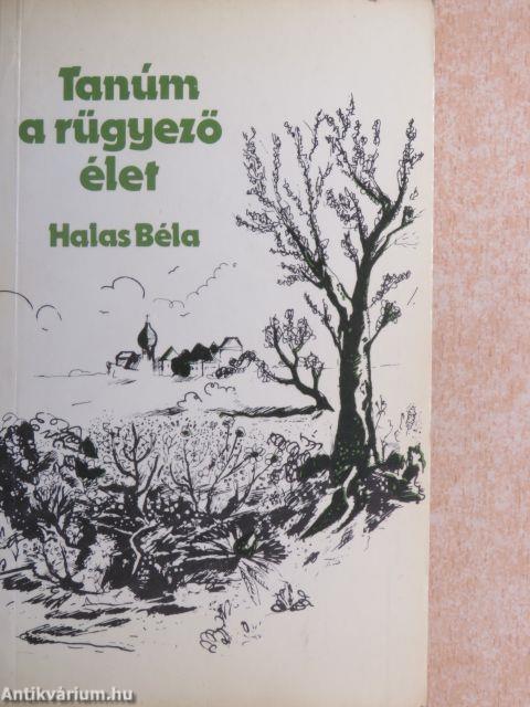 Tanúm a rügyező élet