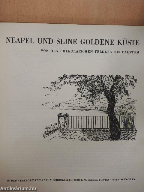 Neapel und seine goldene Küste