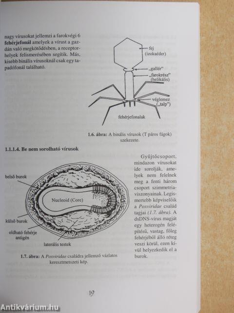 A mikrobiológia alapjai