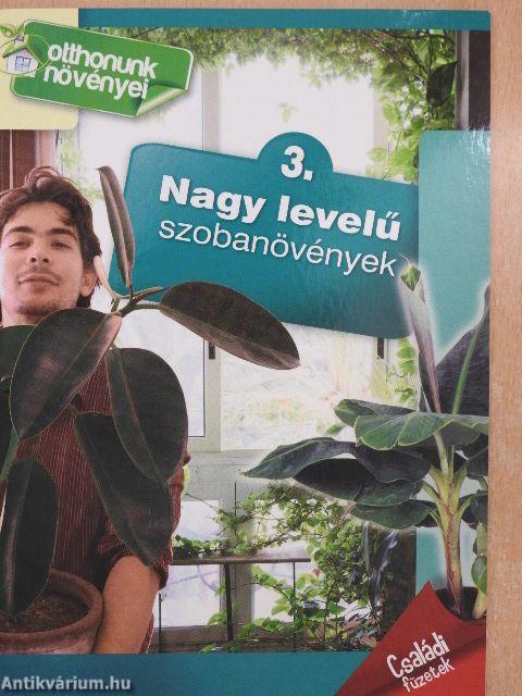 Nagy levelű szobanövények