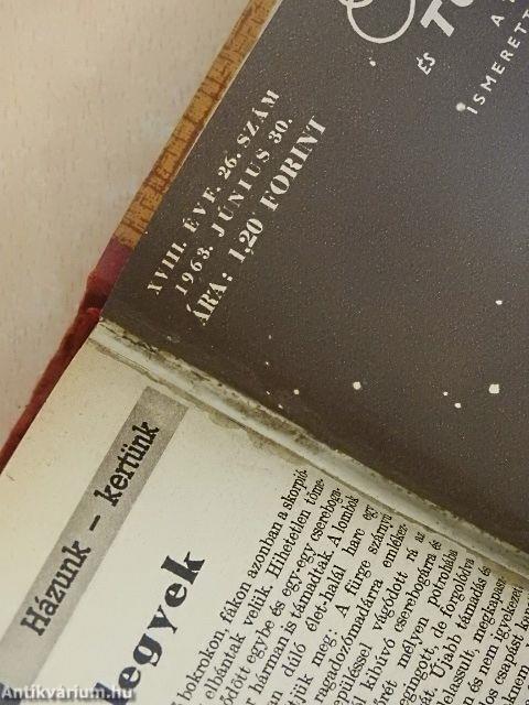 Élet és Tudomány 1963. (fél évfolyam)