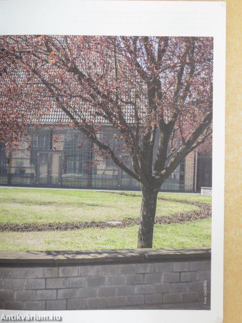 A szív 2017. május