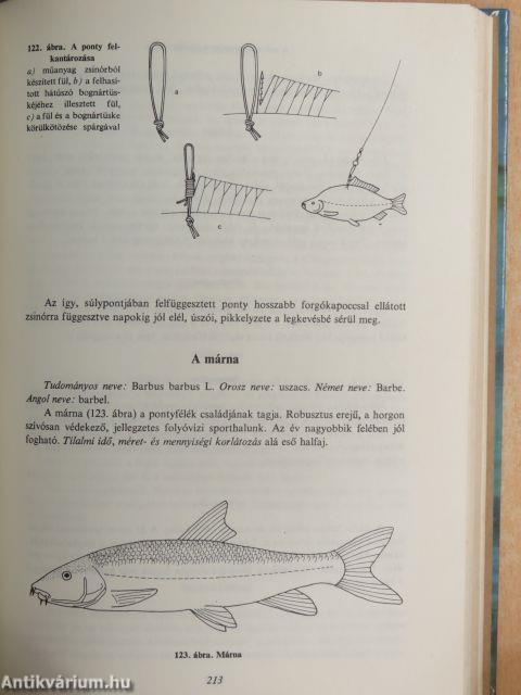 Horgászok kézikönyve