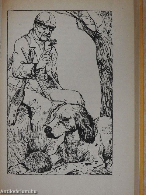 Feketefülű fehér Bim