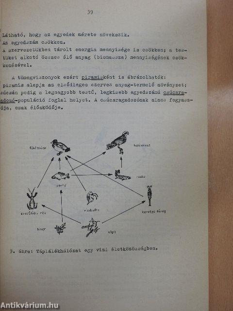 Ember és környezete