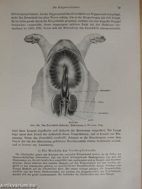 Lehrbuch der Anatomie und Physiologie der Haustiere