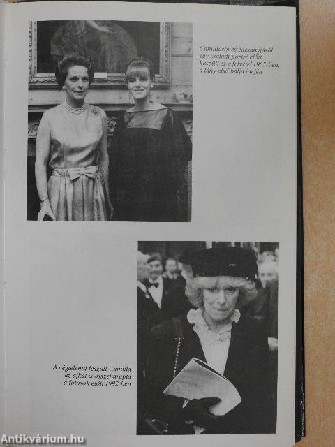 Diana és az elviselhetetlen királyi család