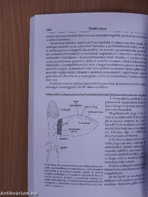 Növényélettan