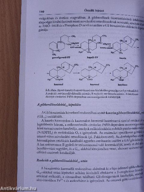 Növényélettan