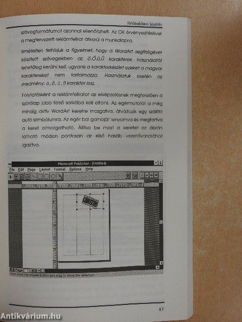 Microsoft Publisher for Windows 3.x