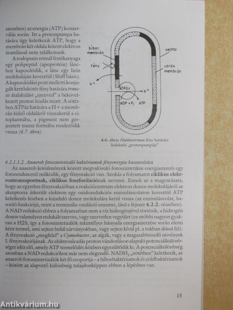 Mikrobiológia II. (töredék)