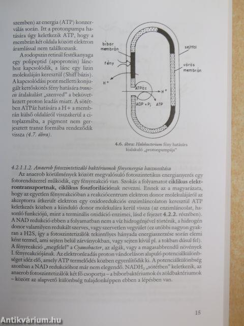 Mikrobiológia II. (töredék)