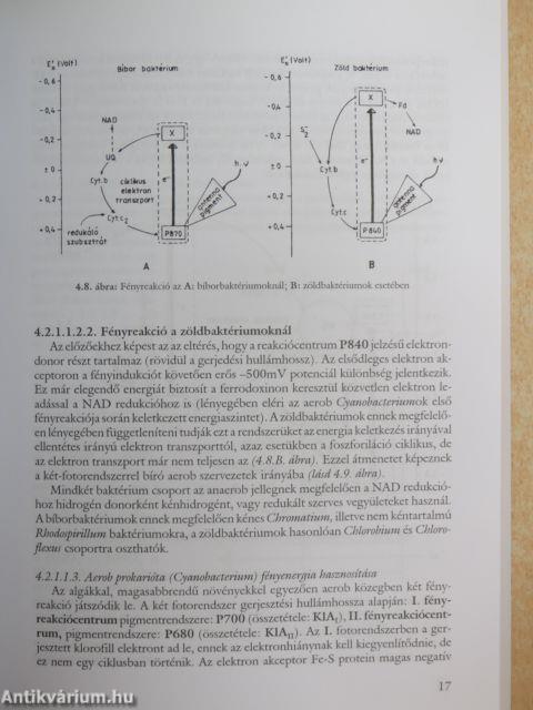 Mikrobiológia II. (töredék)