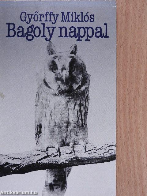 Bagoly nappal