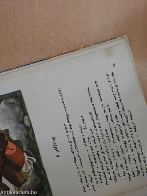 Fülesmackó kalandjai és vándorlásai