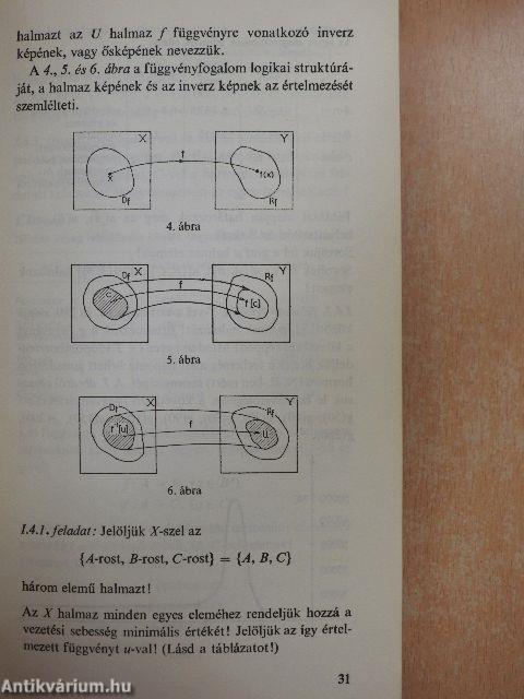 A biológiai modellezés matematikai alapjai I. (töredék)