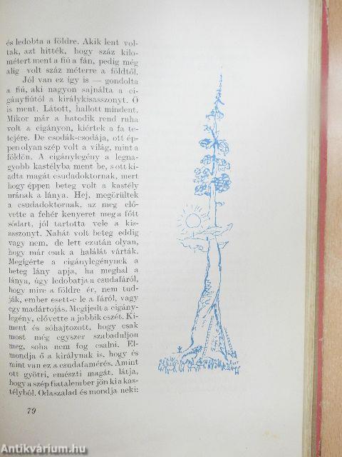 A sárkányölő vitéz