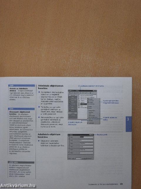 Microsoft Access 2000