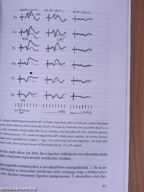 Tanulás, művelődés, szabadidő időskorban