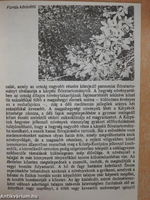 Füzér - Várhegy