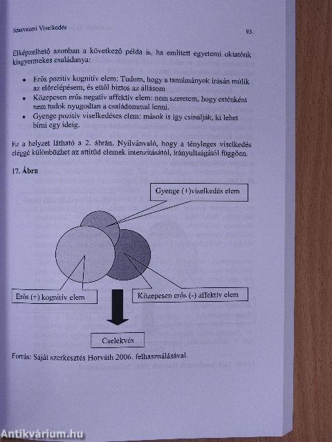 Szervezeti viselkedés 