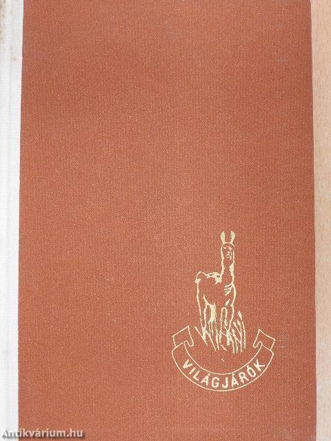 Mágikus Kordillerák