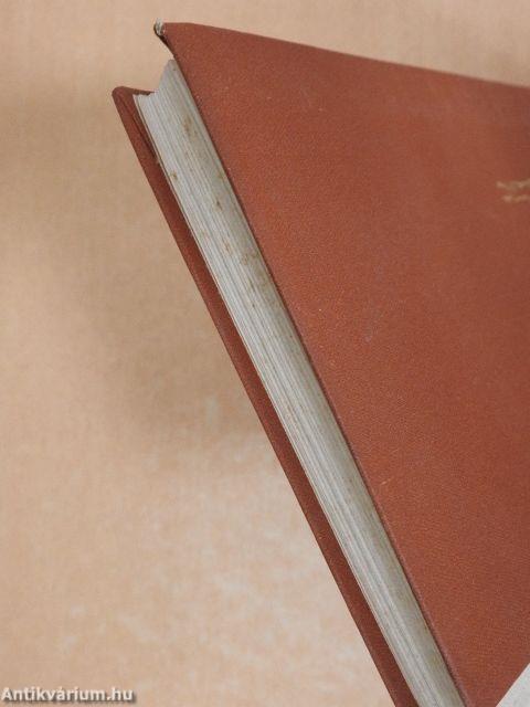 Mágikus Kordillerák