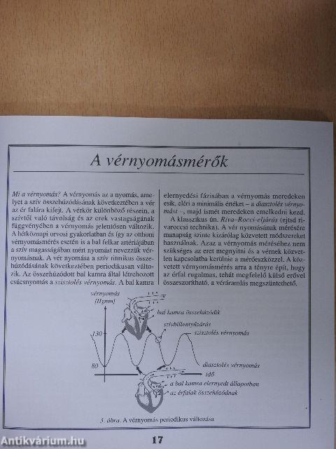 Magas vérnyomás gyermekkortól felnőttkorig