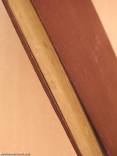 Afrika II. (töredék)