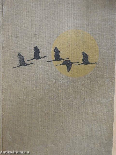 Végtelen vadászmezőkön