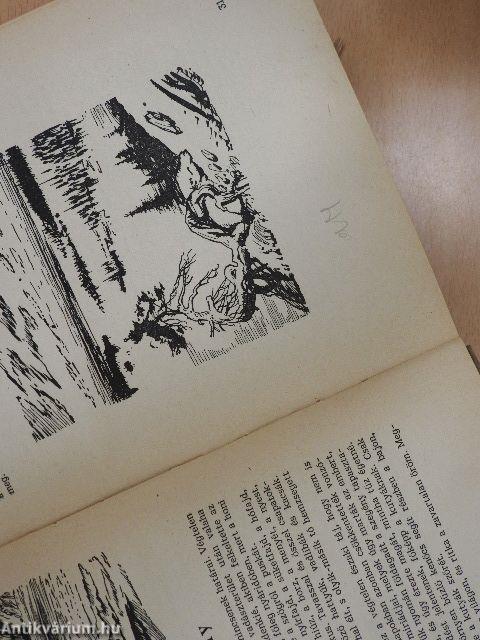 Végtelen vadászmezőkön