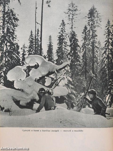 Végtelen vadászmezőkön