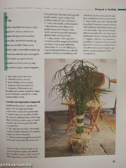 Varázslat szobanövényekkel