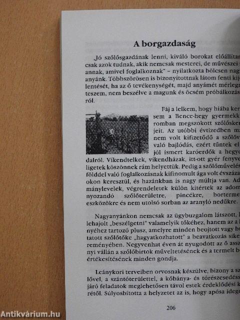 Életrezzenések