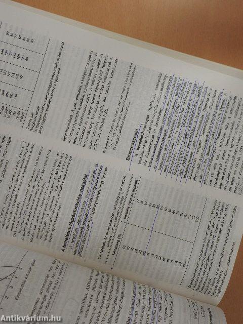 Korszerű orvosi diagnosztika és terápia 1996