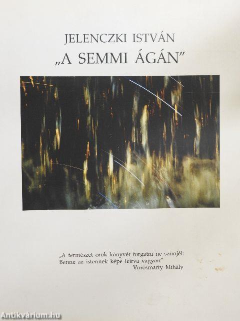 "A semmi ágán"