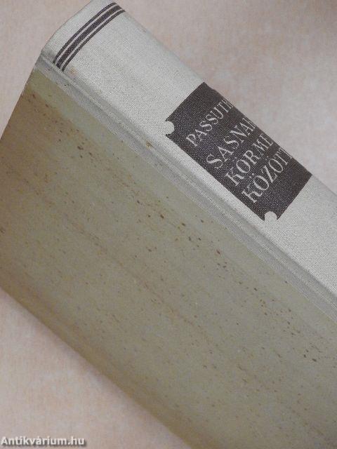 Sasnak körme között