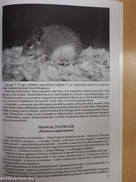 Kisemlősök a lakásban